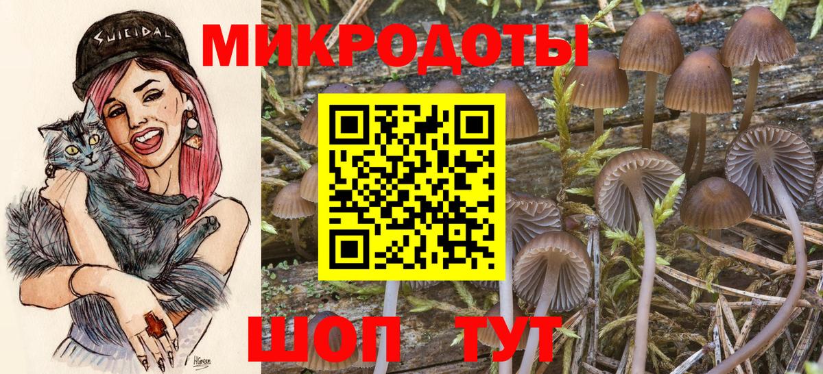 Псилоцибиновые грибы Psilocybine cubensis  Вход с VPN  Орск 